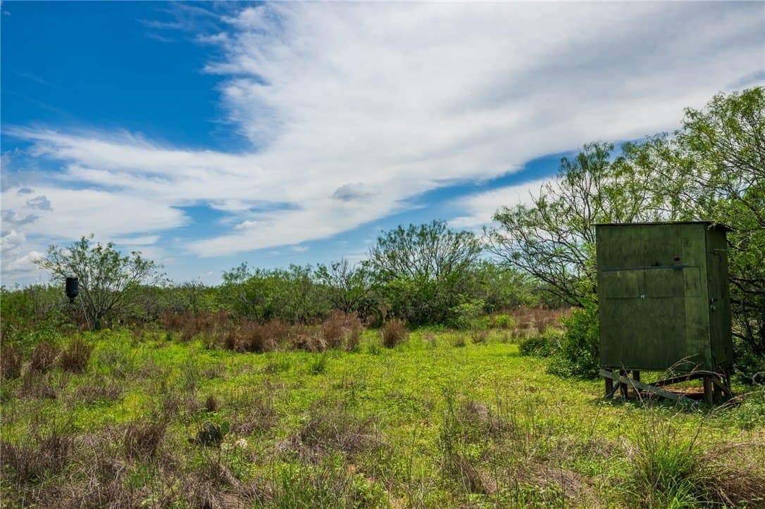 30 acres in Duval County gallery image 2