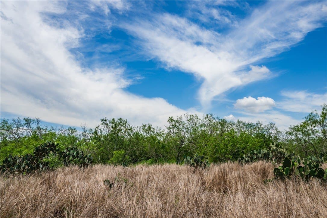 30 acres in Duval County gallery image 4
