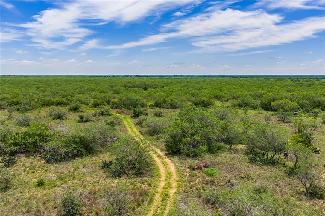 30 acres in Duval County - photo 6