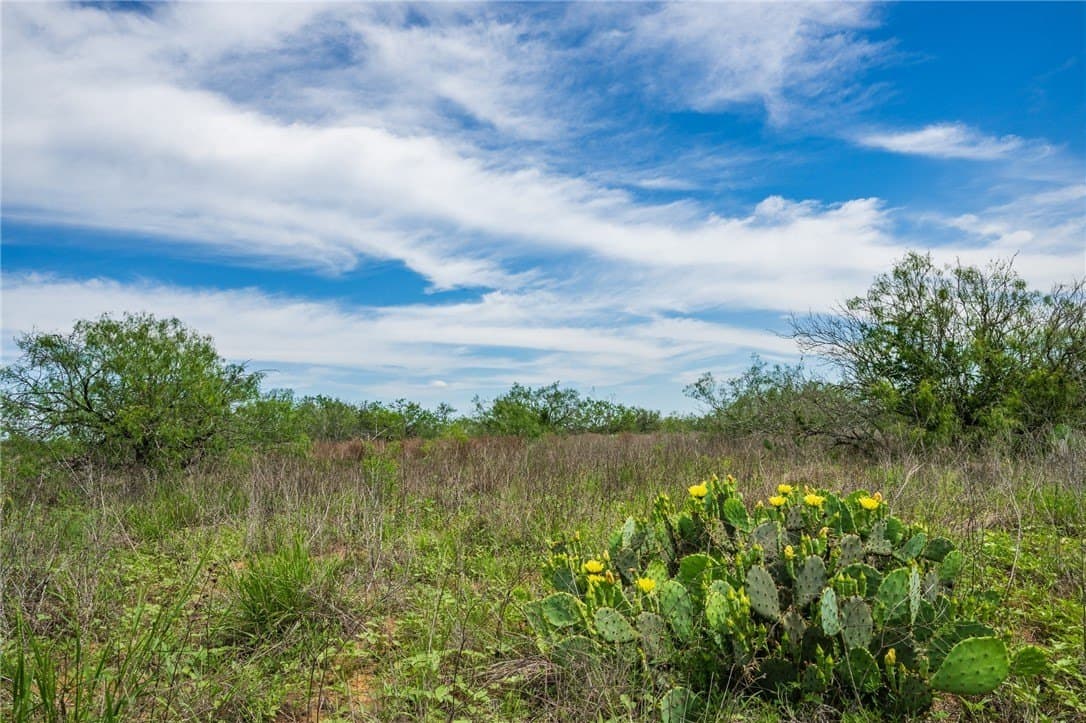 30 acres in Duval County - photo 8