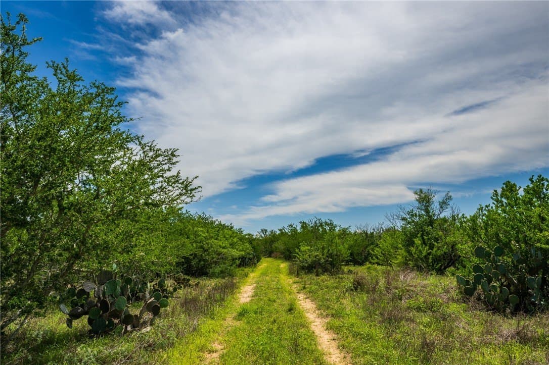 30 acres in Duval County gallery image 3
