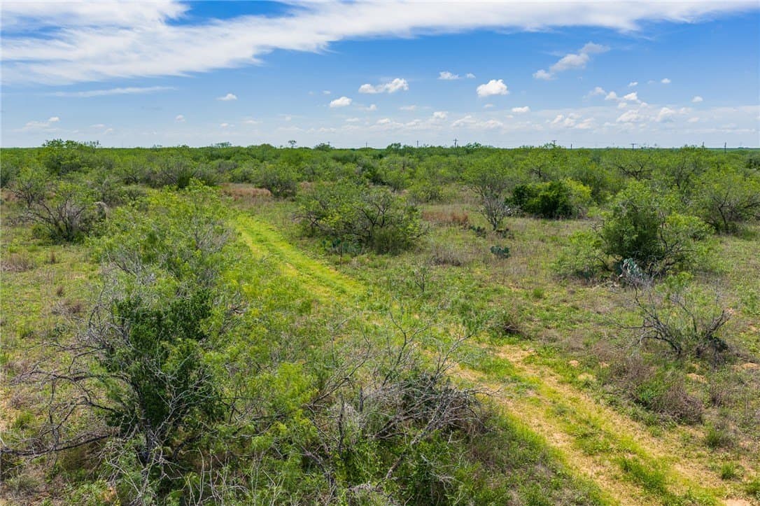 30 acres in Duval County - photo 12