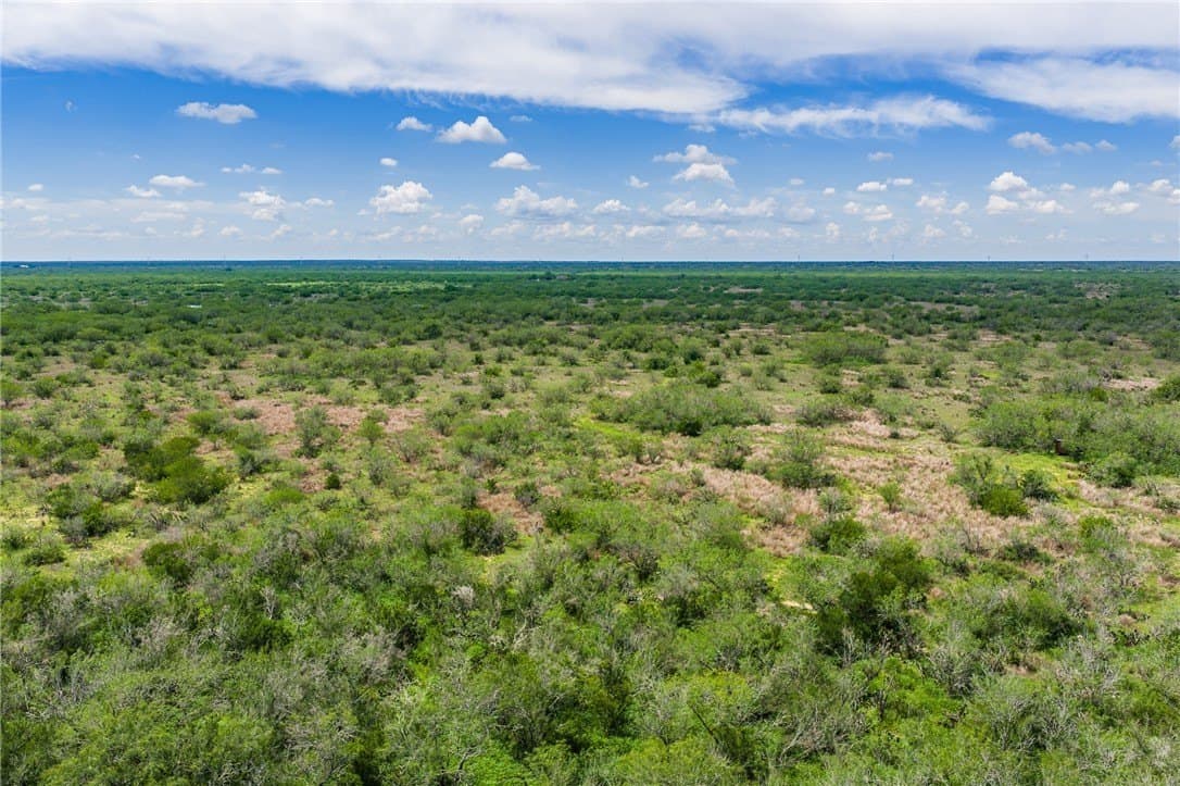 30 acres in Duval County - photo 11