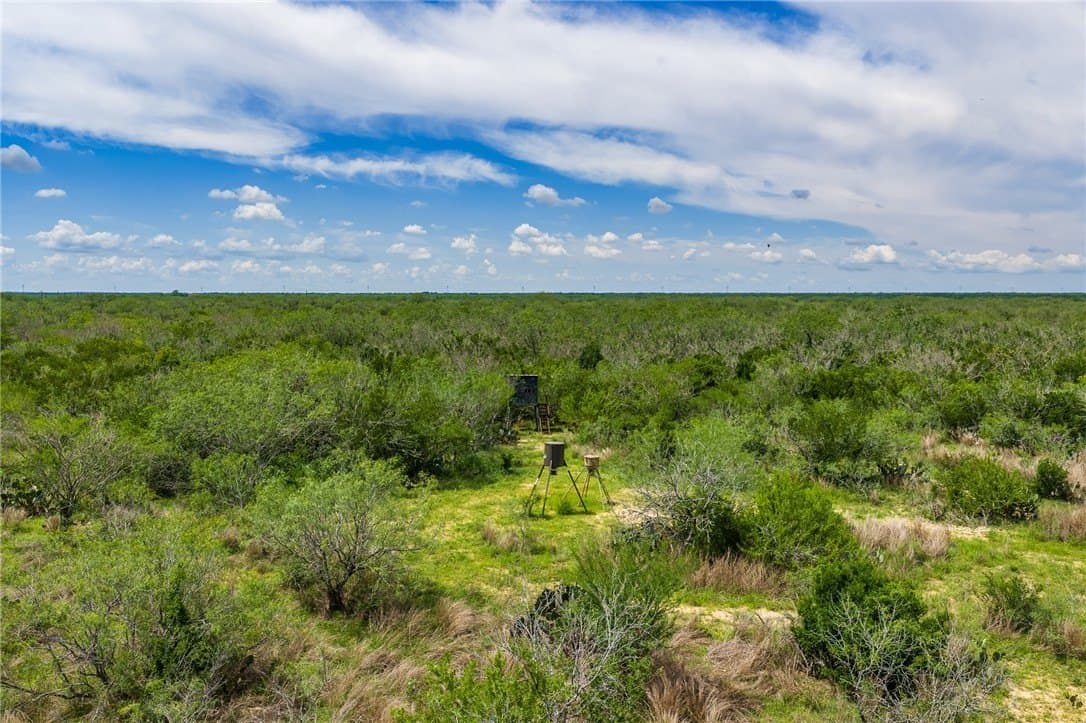 30 acres in Duval County - photo 7