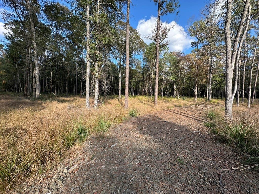 1 acres in Texas County gallery image 3