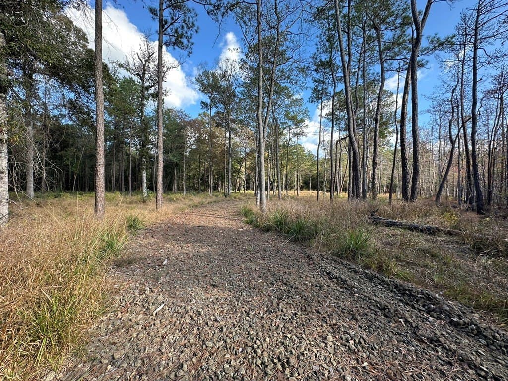 1 acres in Texas County gallery image 2