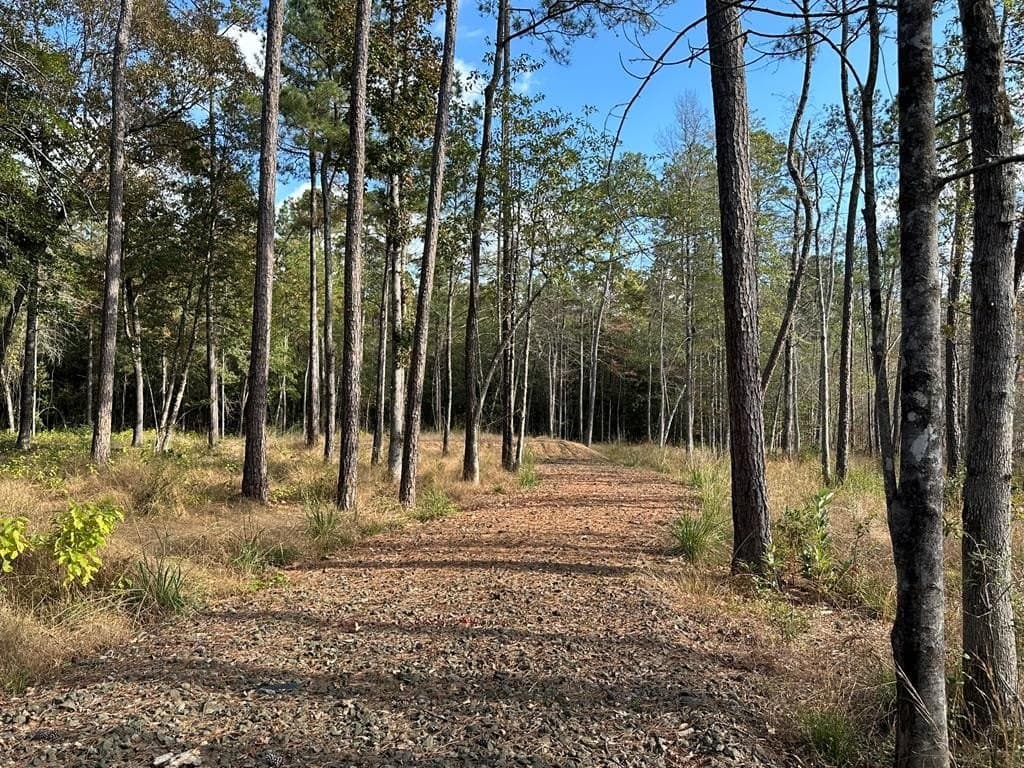 1 acres in Texas County