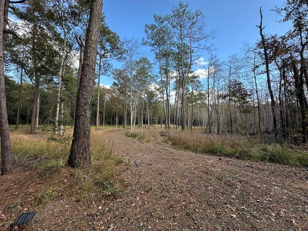 1 acres in Texas County gallery image 4