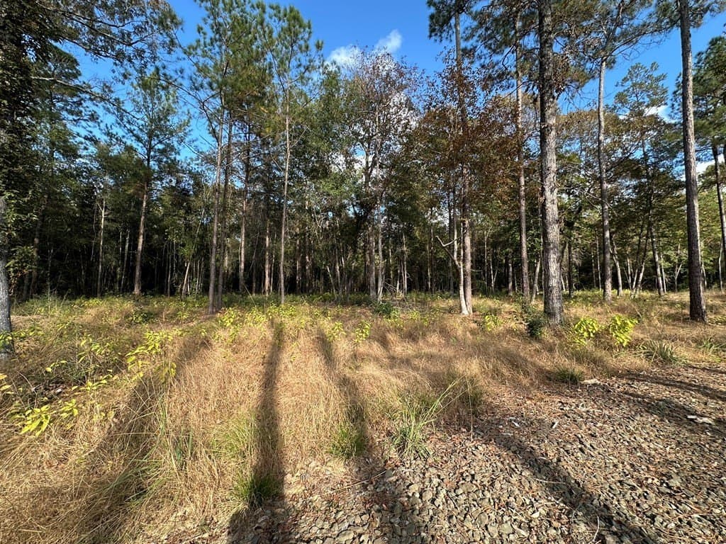 1 acres in Texas County featured view