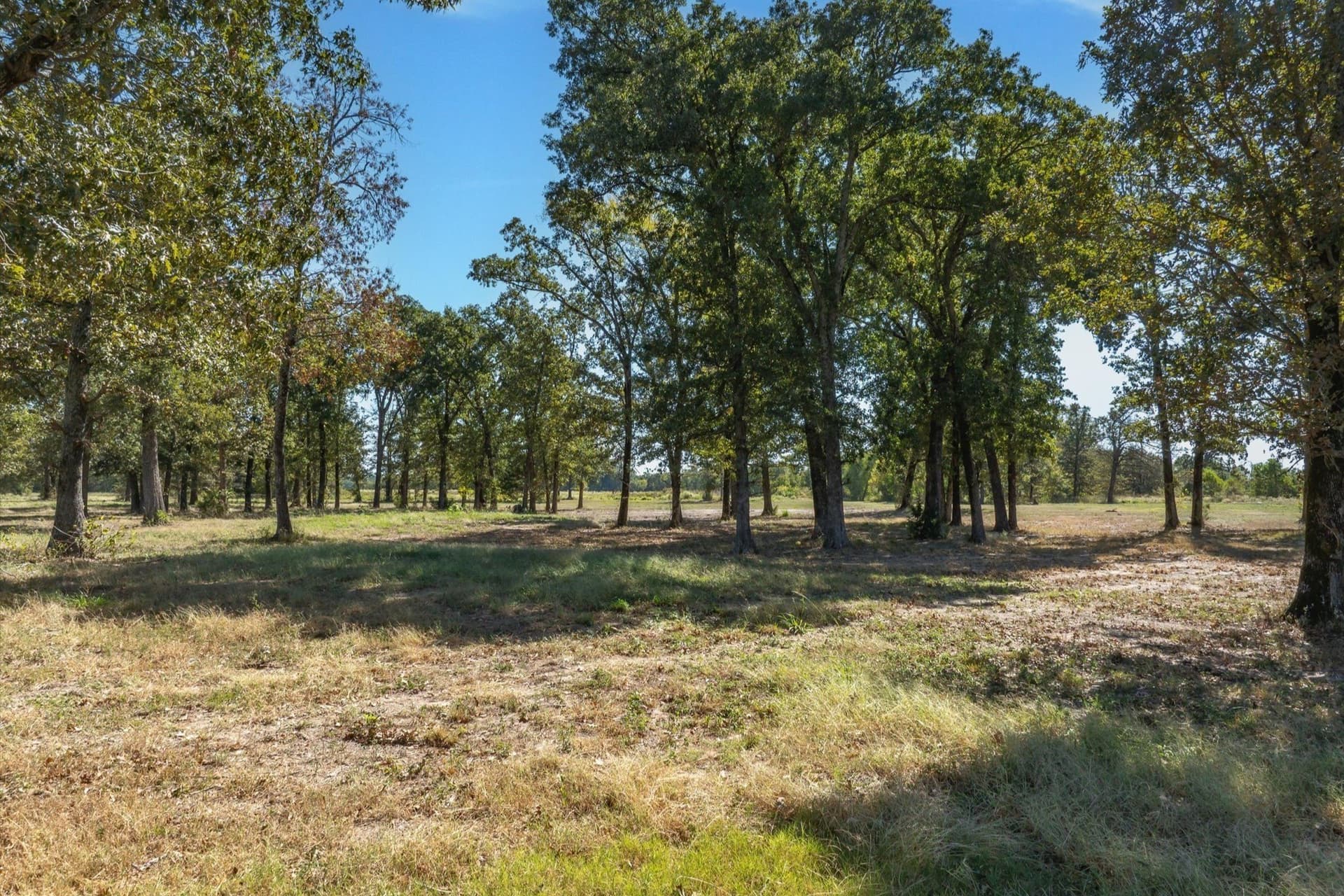 10 acres in Wood County - photo 10