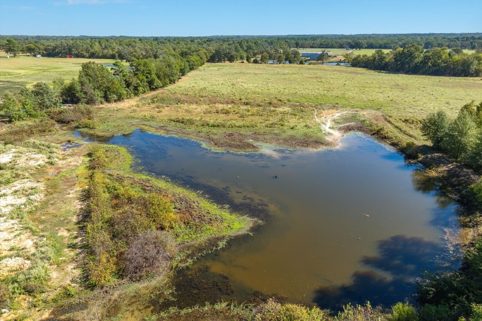 10 acres in Wood County - photo 14