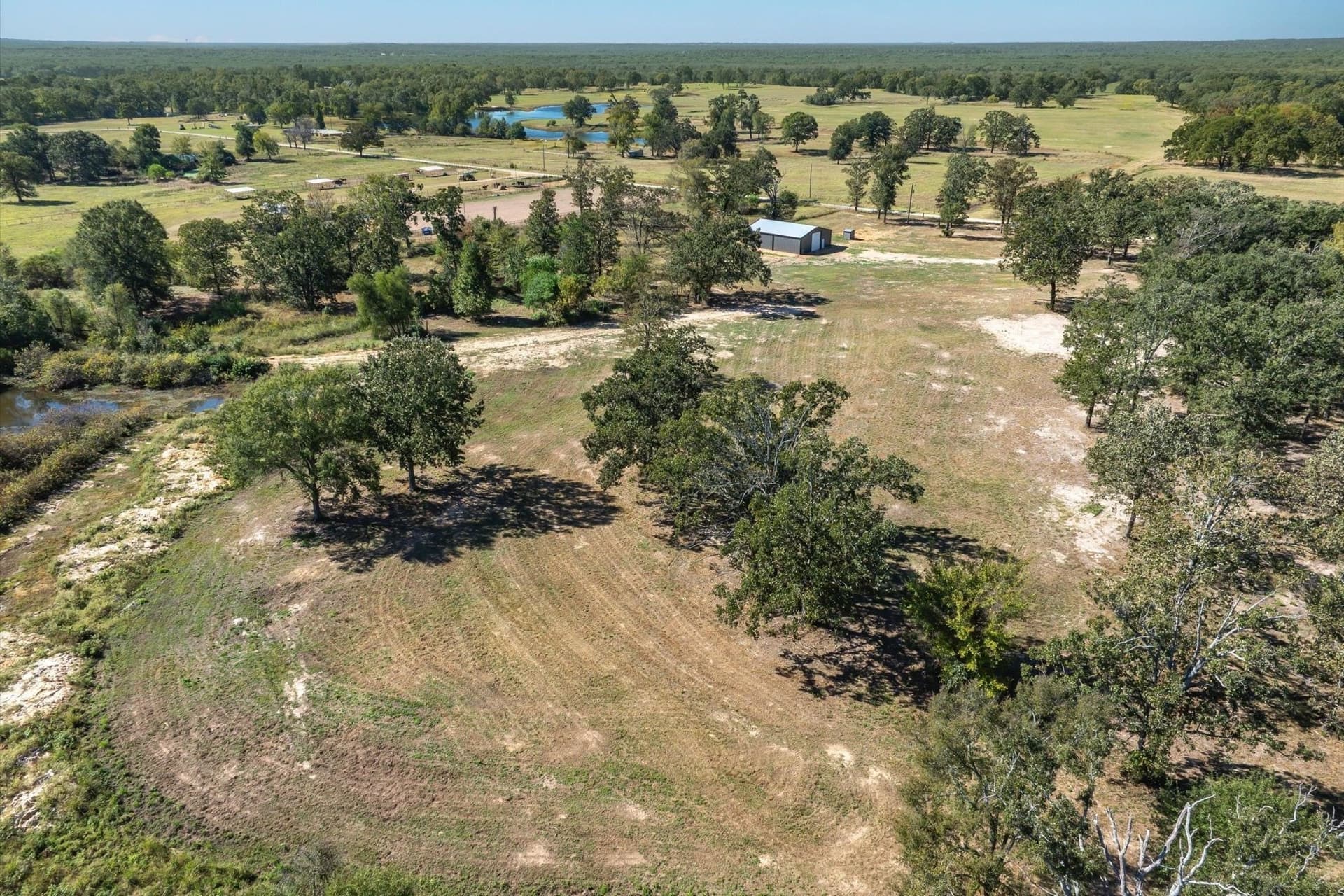 10 acres in Wood County - photo 19