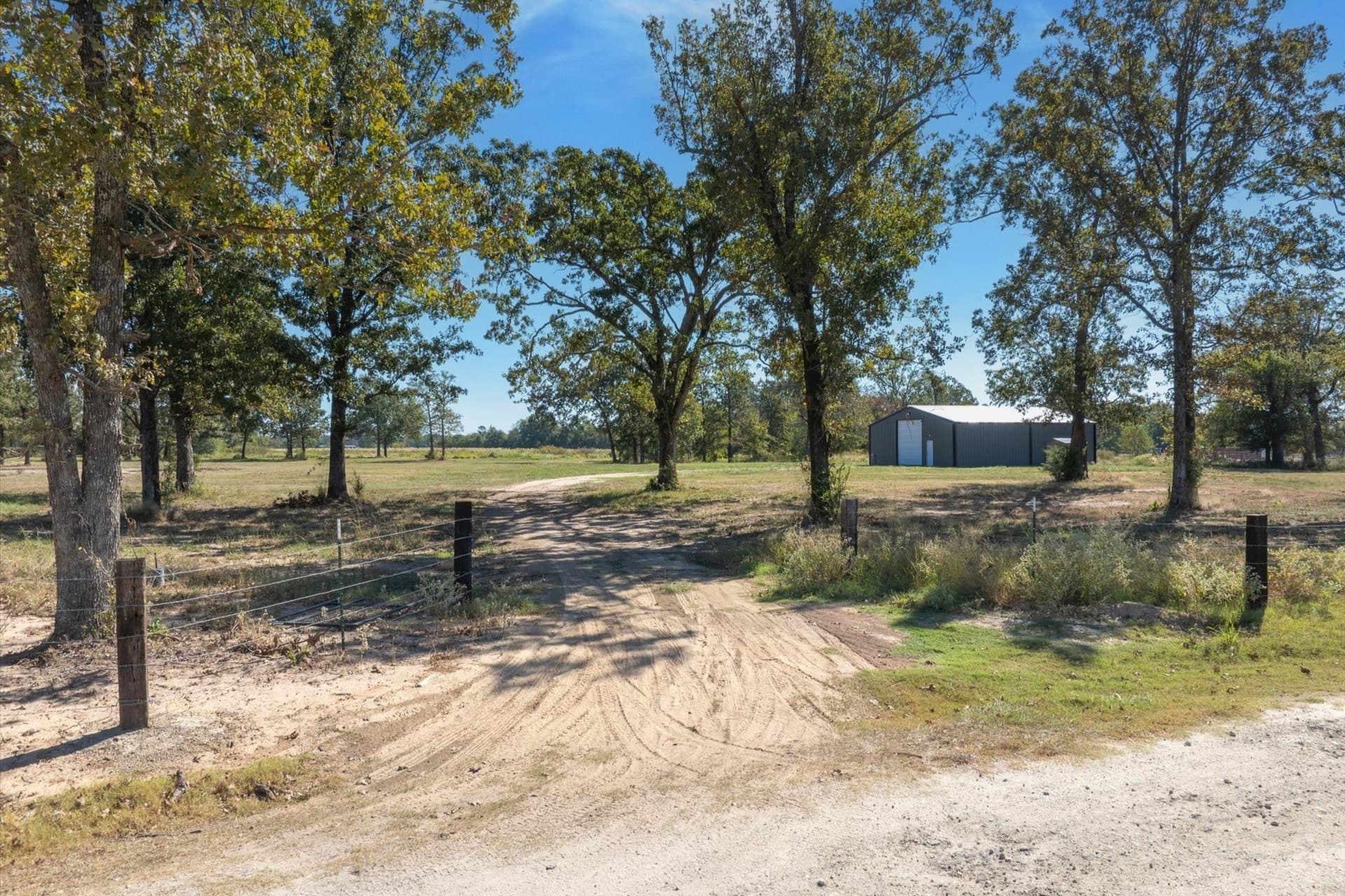 10 acres in Wood County - photo 12