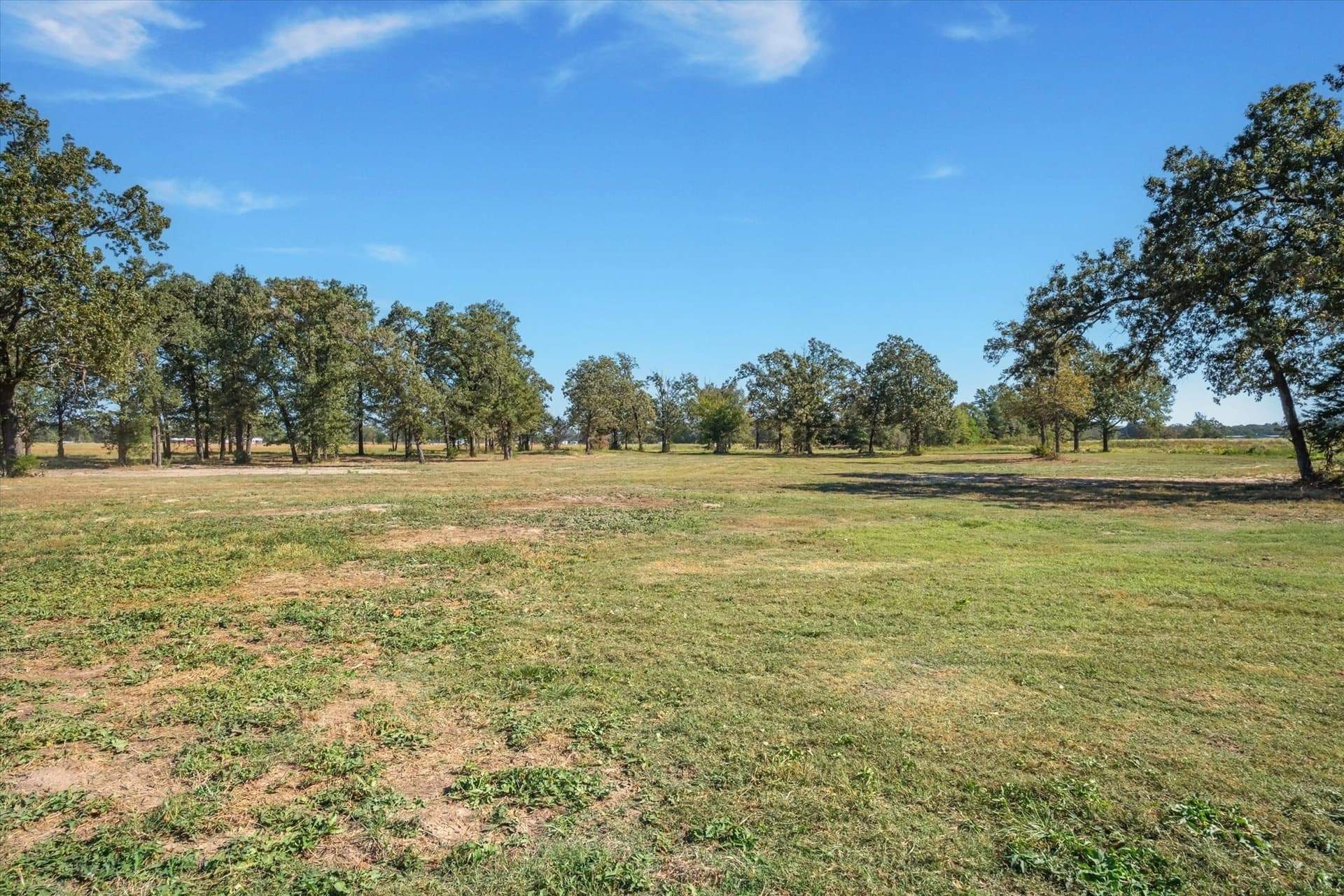 10 acres in Wood County - photo 23