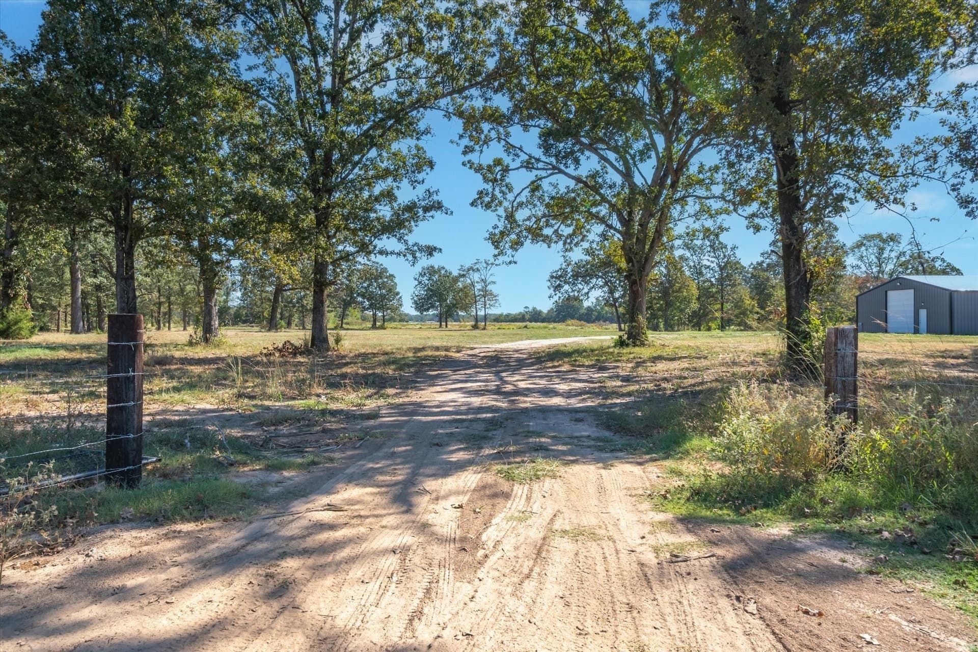 10 acres in Wood County - photo 11
