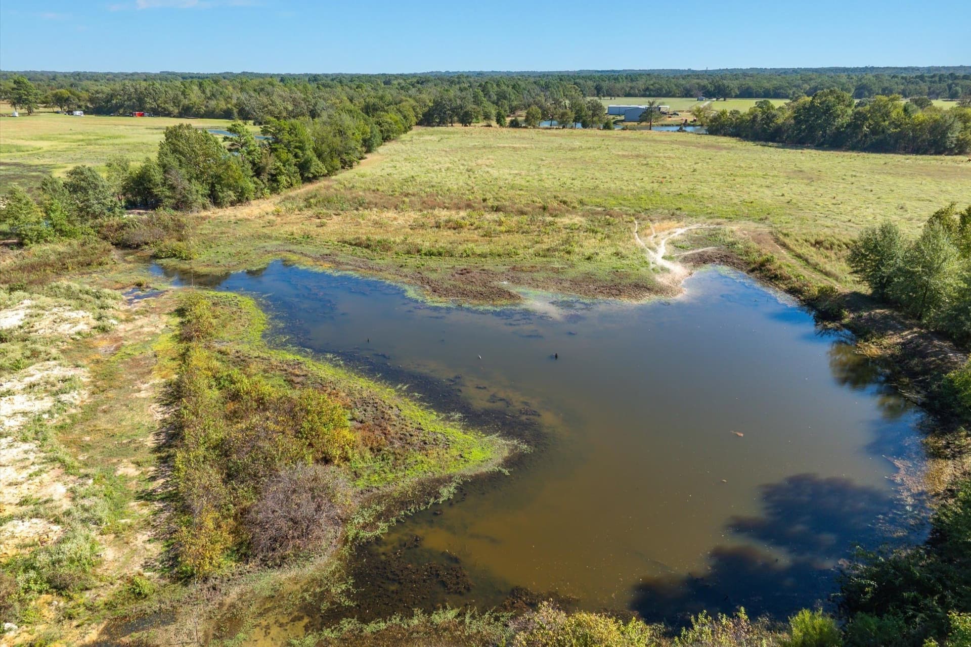 10 acres in Wood County - photo 14