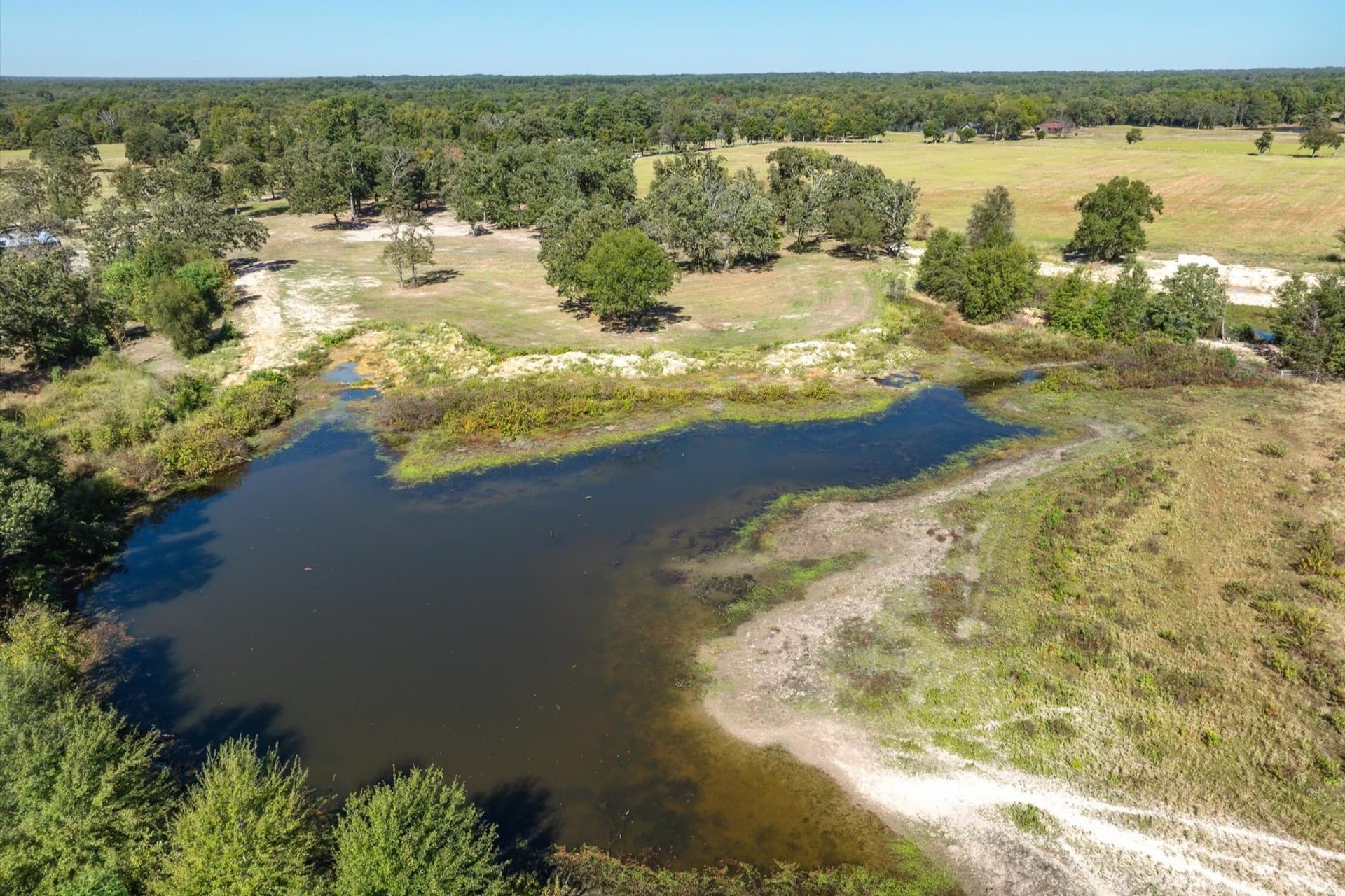 10 acres in Wood County - photo 13