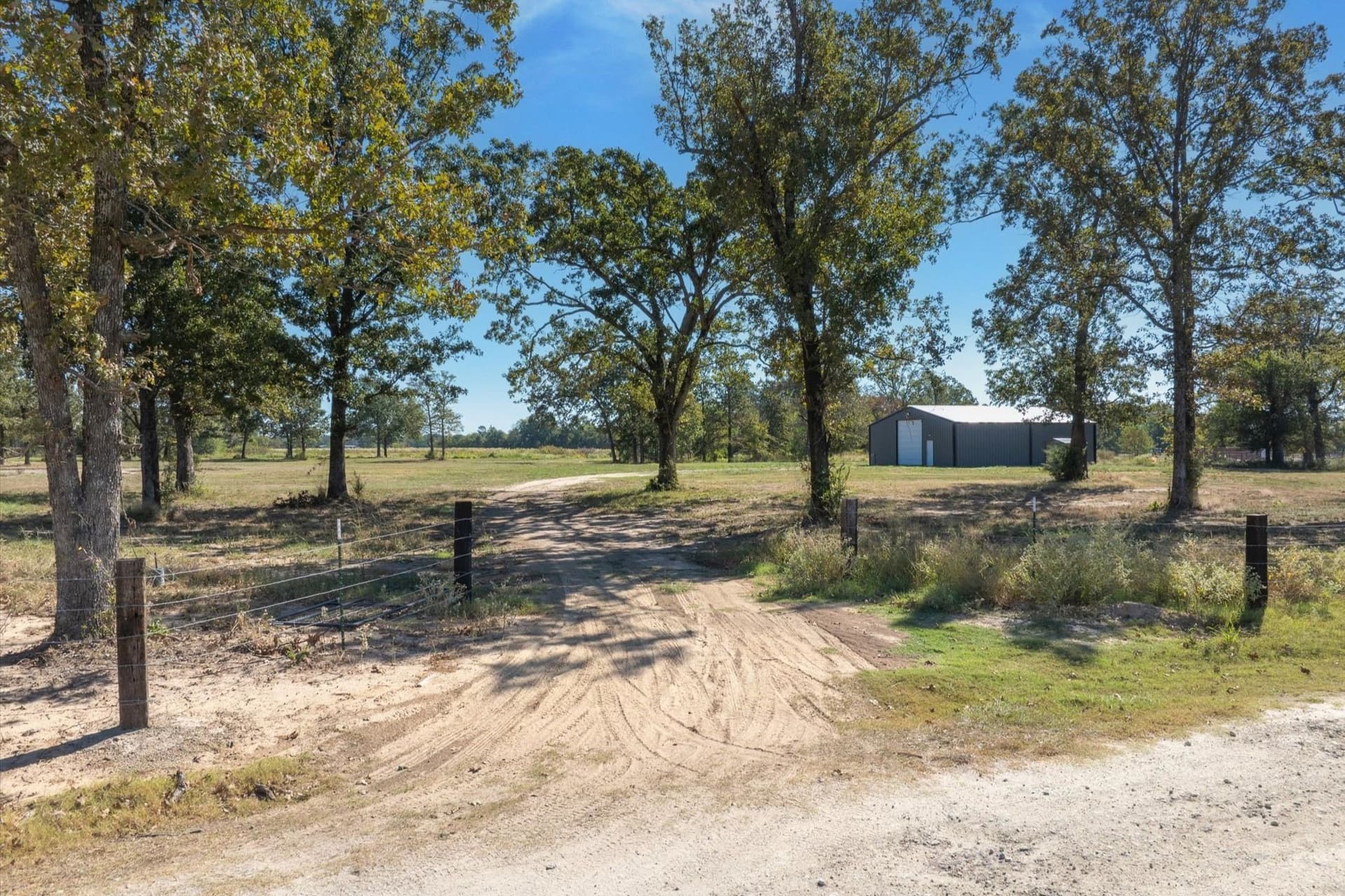 10 acres in Wood County - photo 12