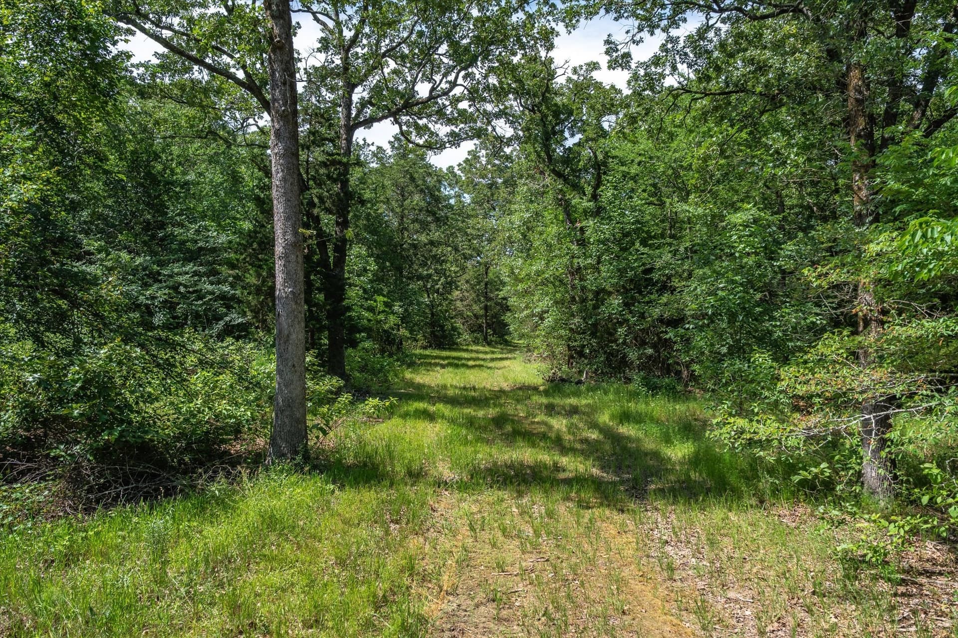 146 acres in Van Zandt County - photo 36