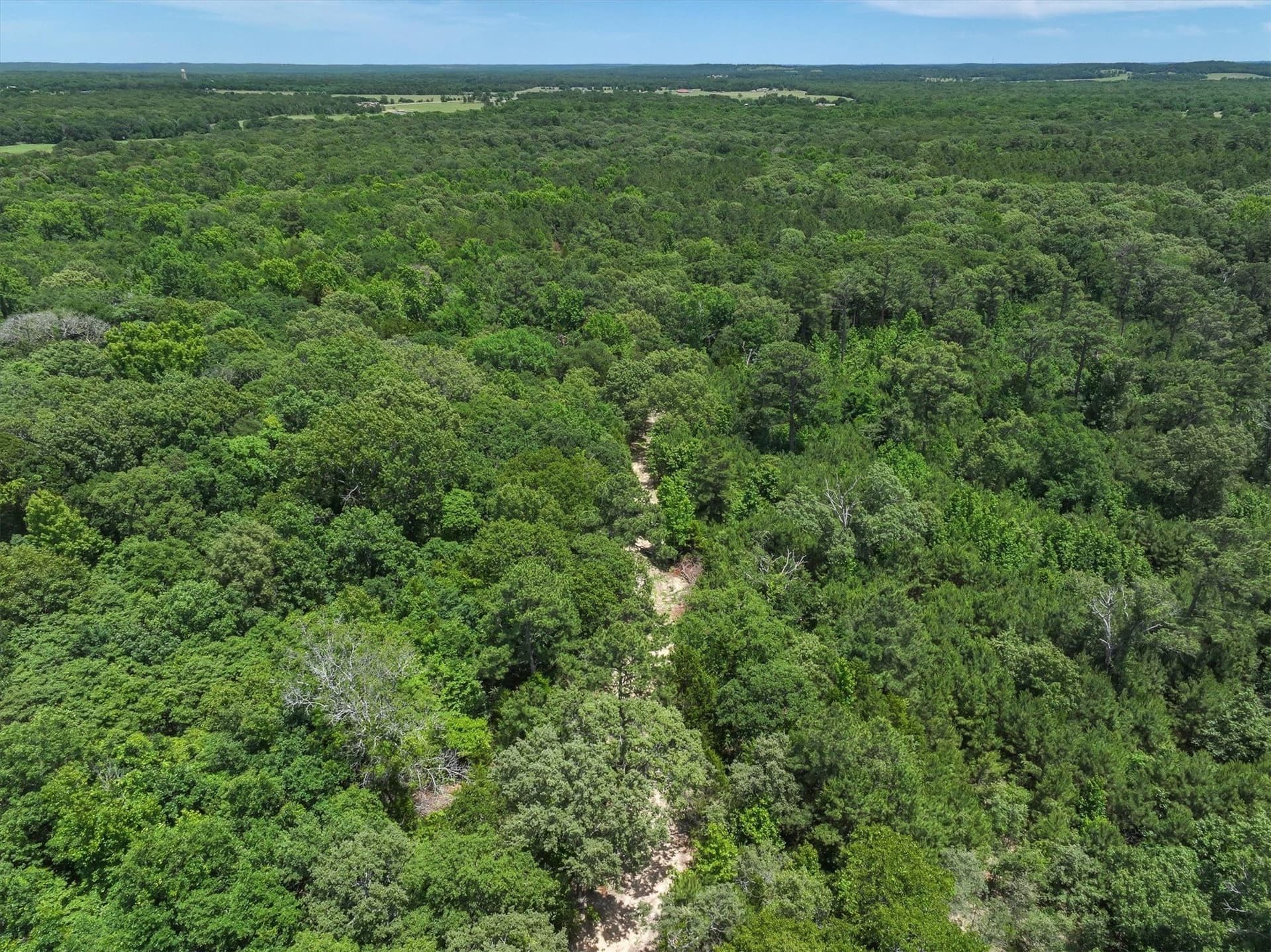 146 acres in Van Zandt County - photo 17