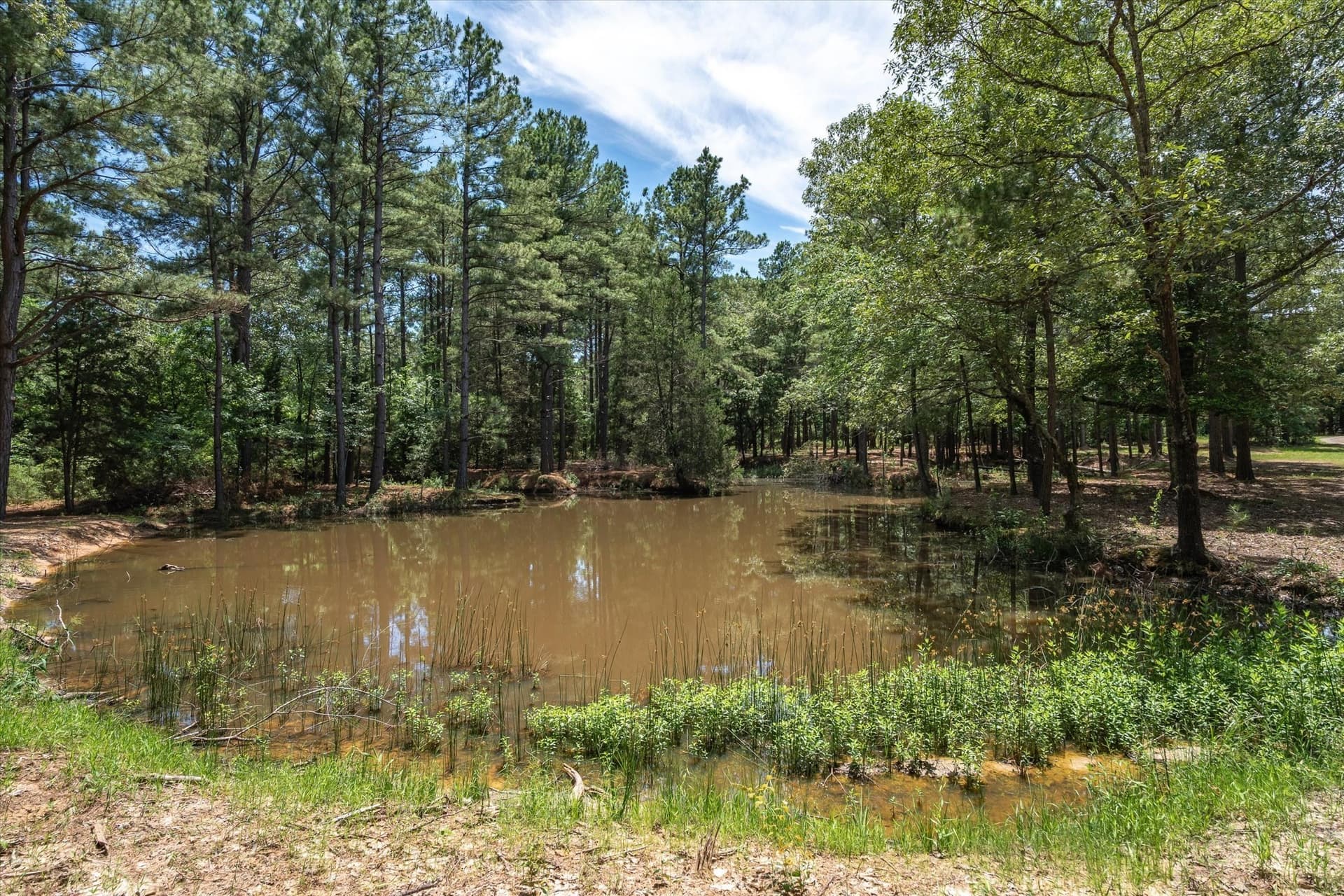 146 acres in Van Zandt County - photo 11