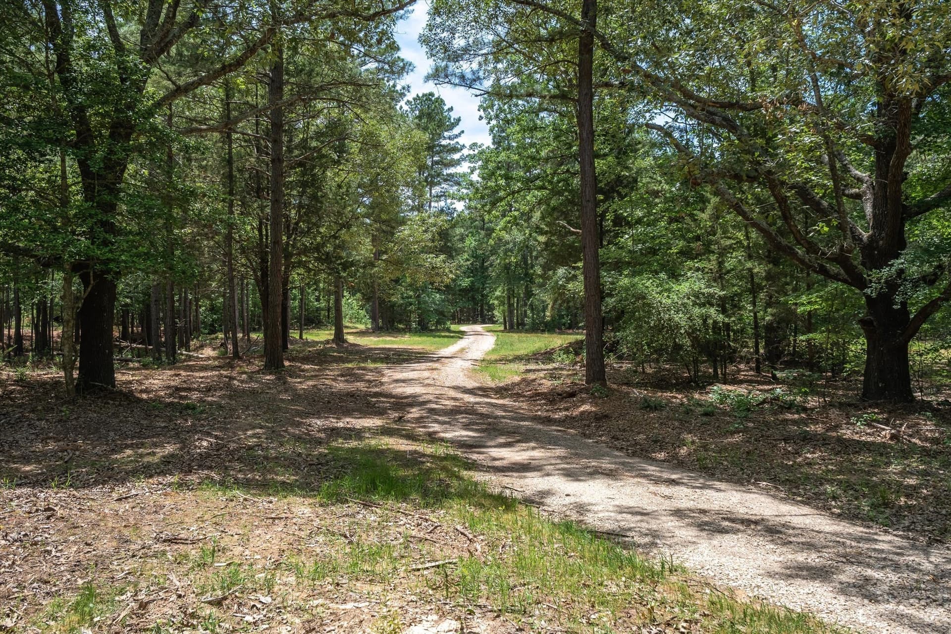 146 acres in Van Zandt County