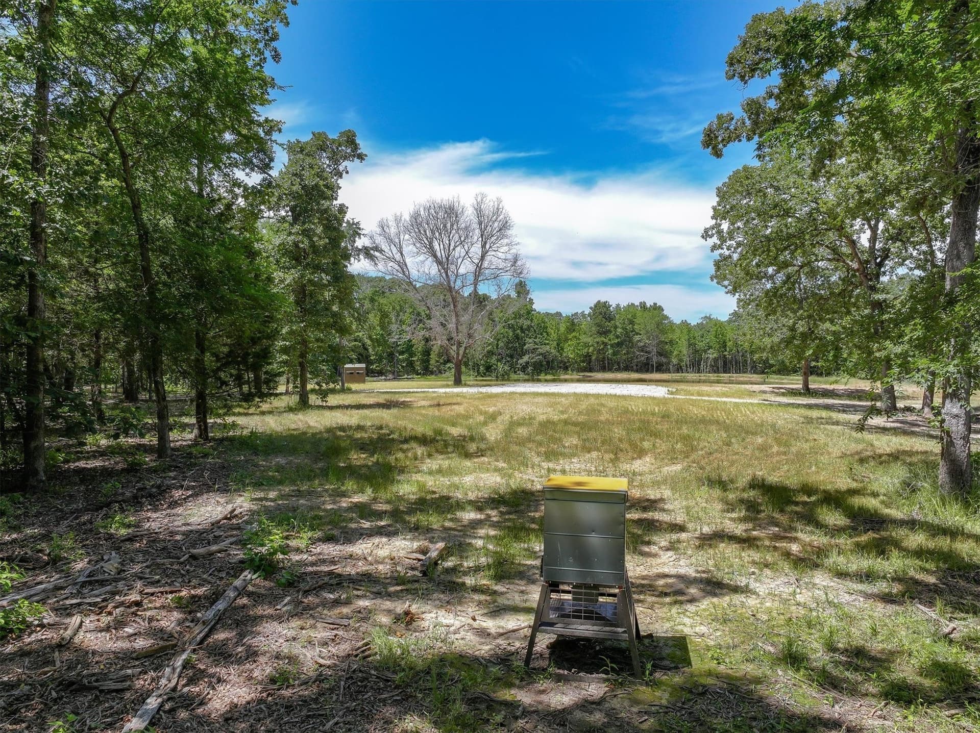 146 acres in Van Zandt County gallery image 3