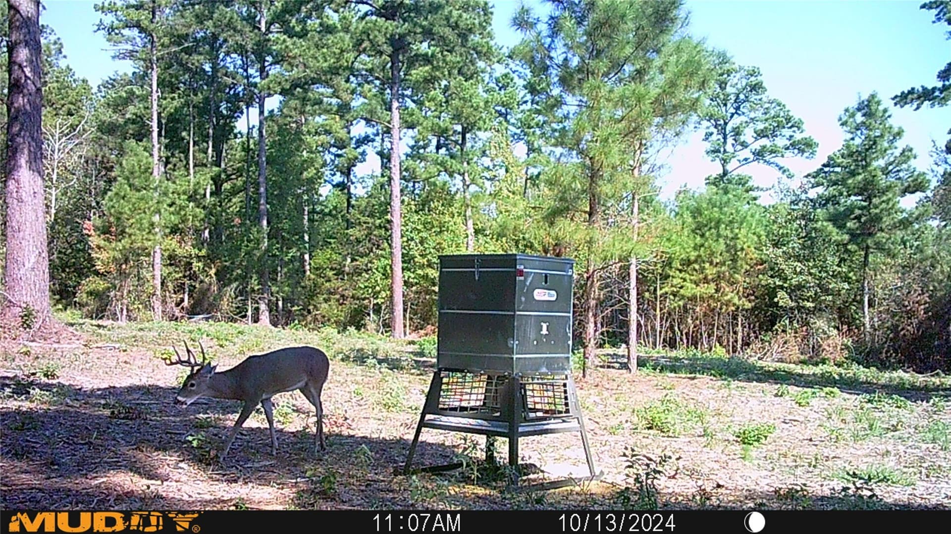 146 acres in Van Zandt County - photo 6