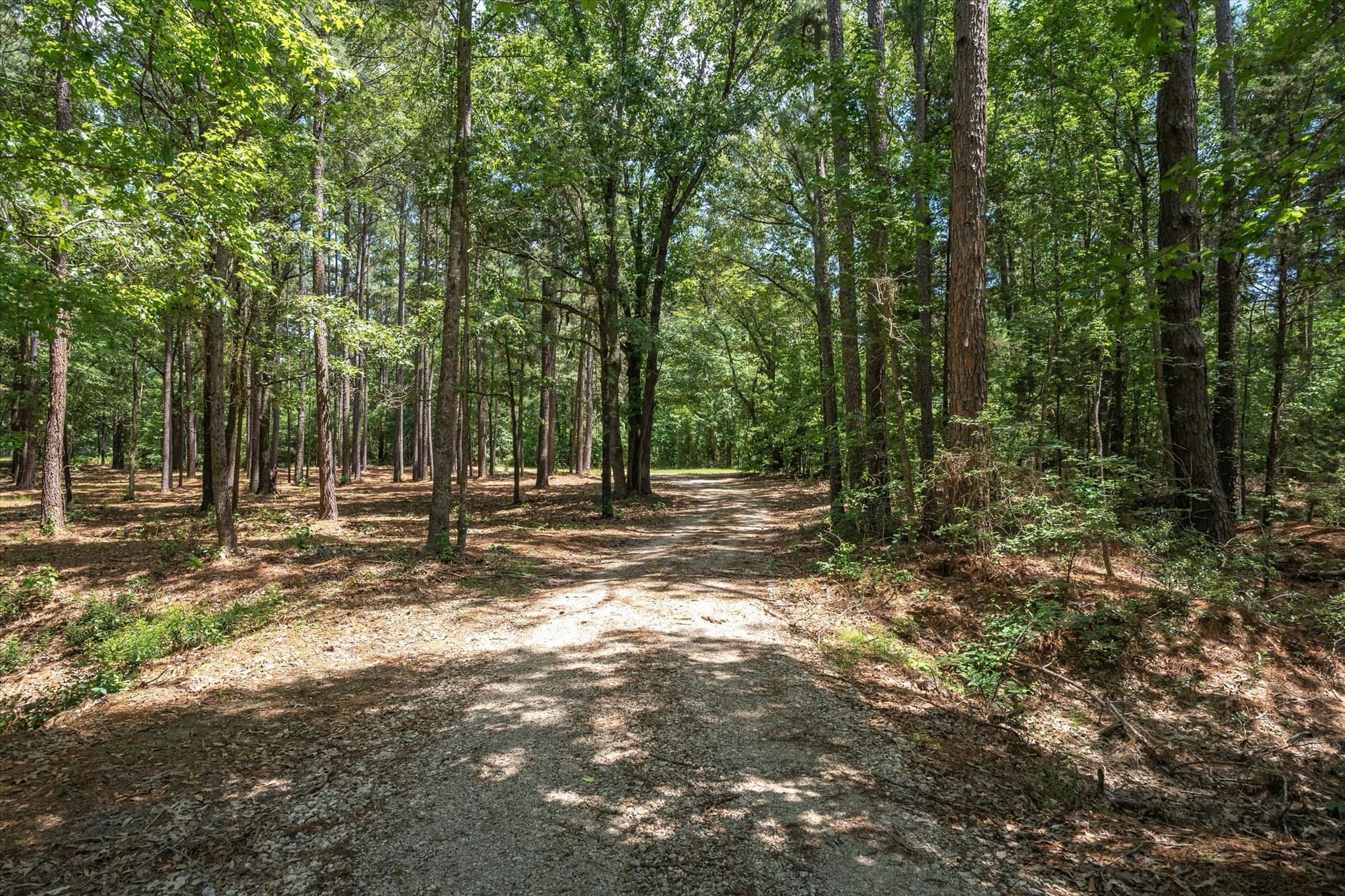 146 acres in Van Zandt County - photo 9