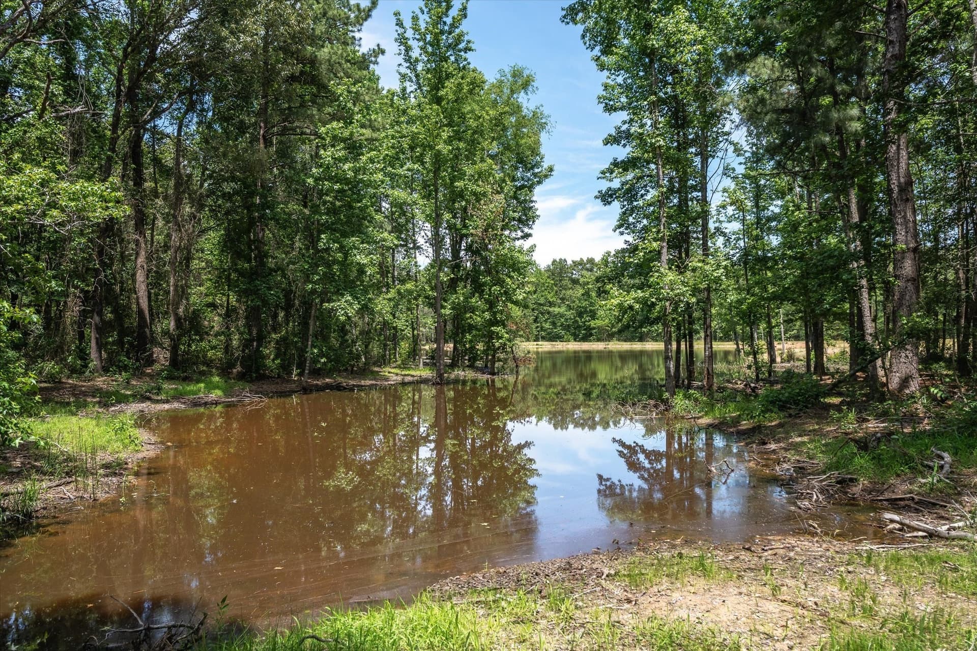 146 acres in Van Zandt County - photo 13