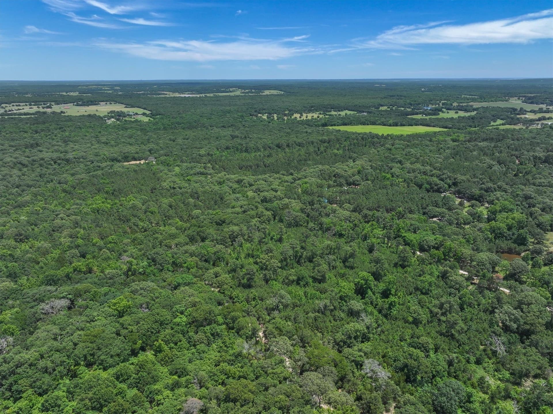 146 acres in Van Zandt County - photo 19