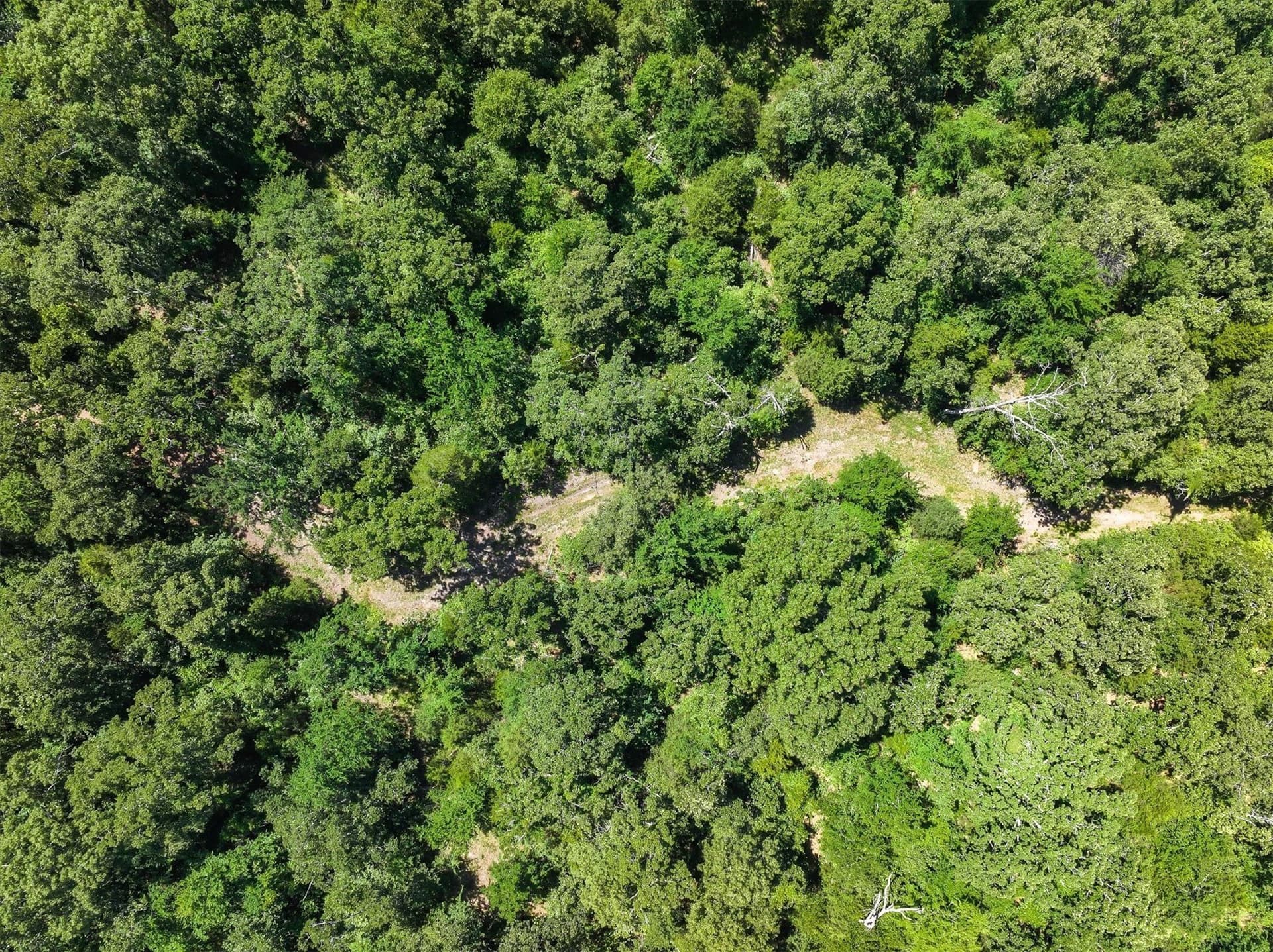 146 acres in Van Zandt County - photo 15