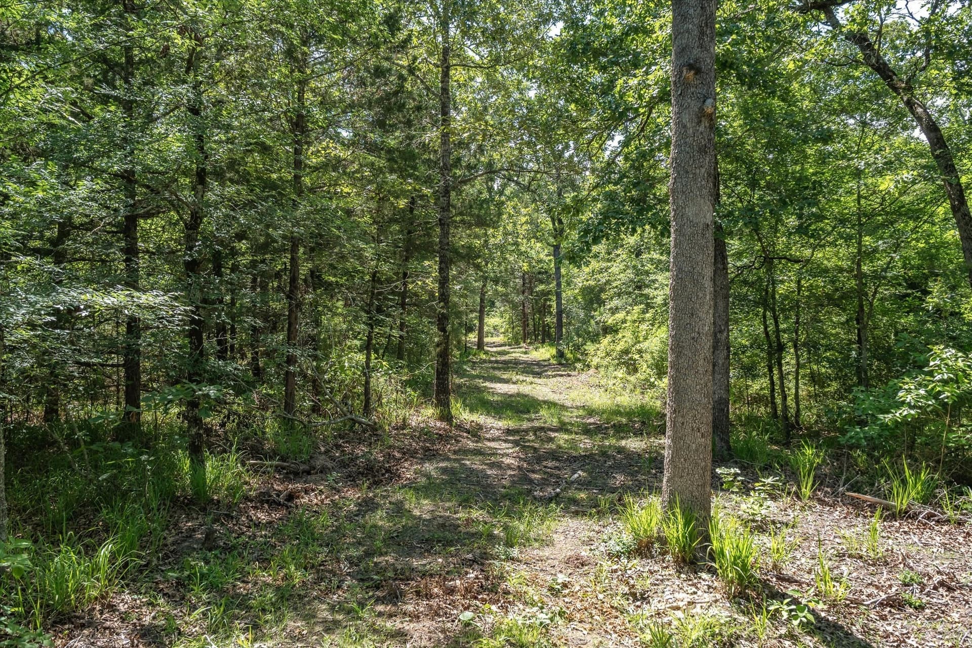 146 acres in Van Zandt County - photo 35