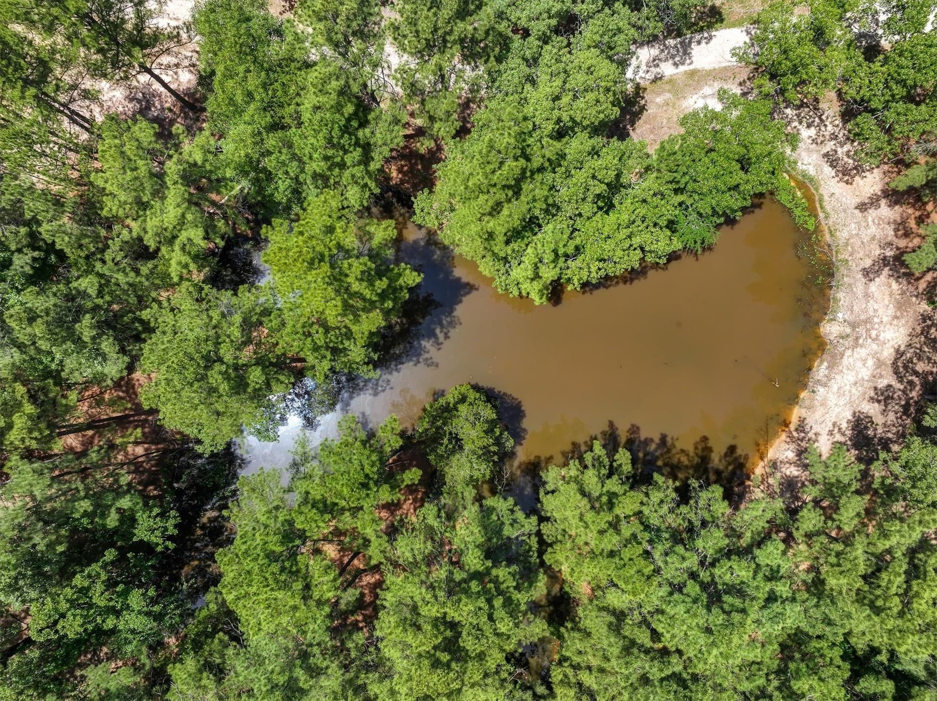 146 acres in Van Zandt County - photo 23