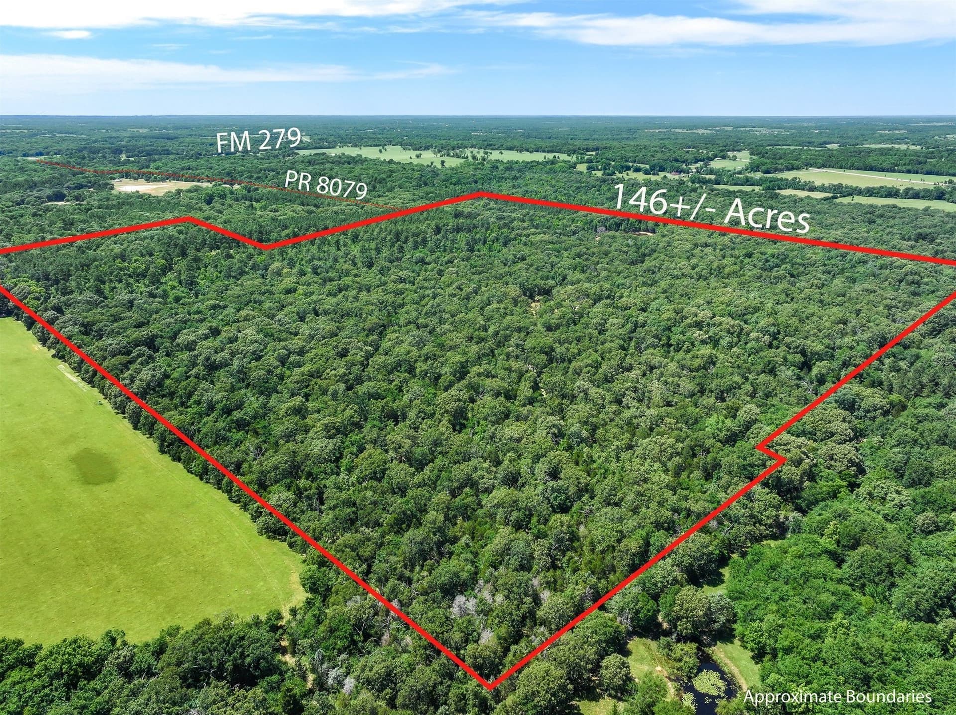 146 acres in Van Zandt County - photo 7