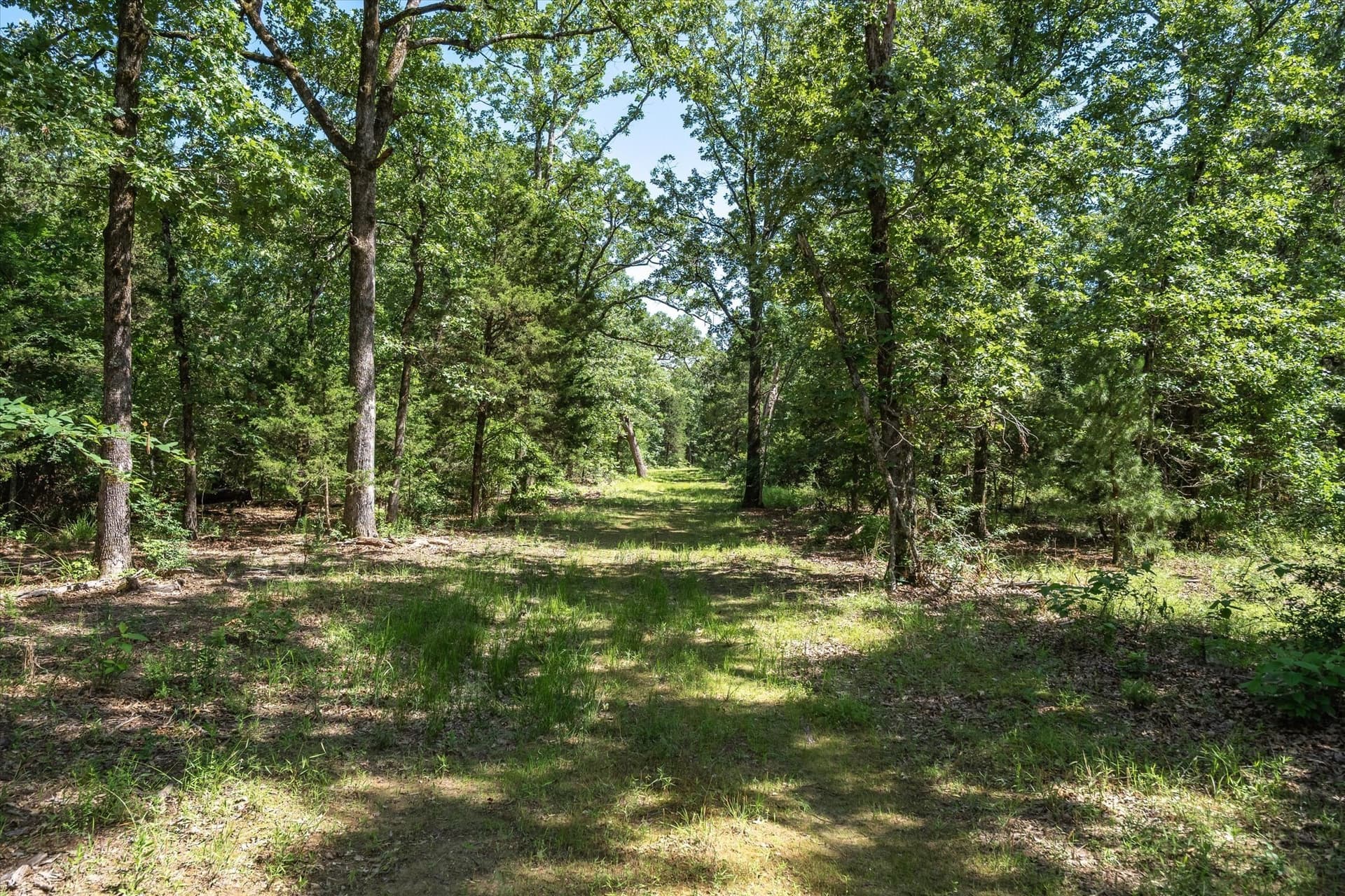 146 acres in Van Zandt County - photo 37