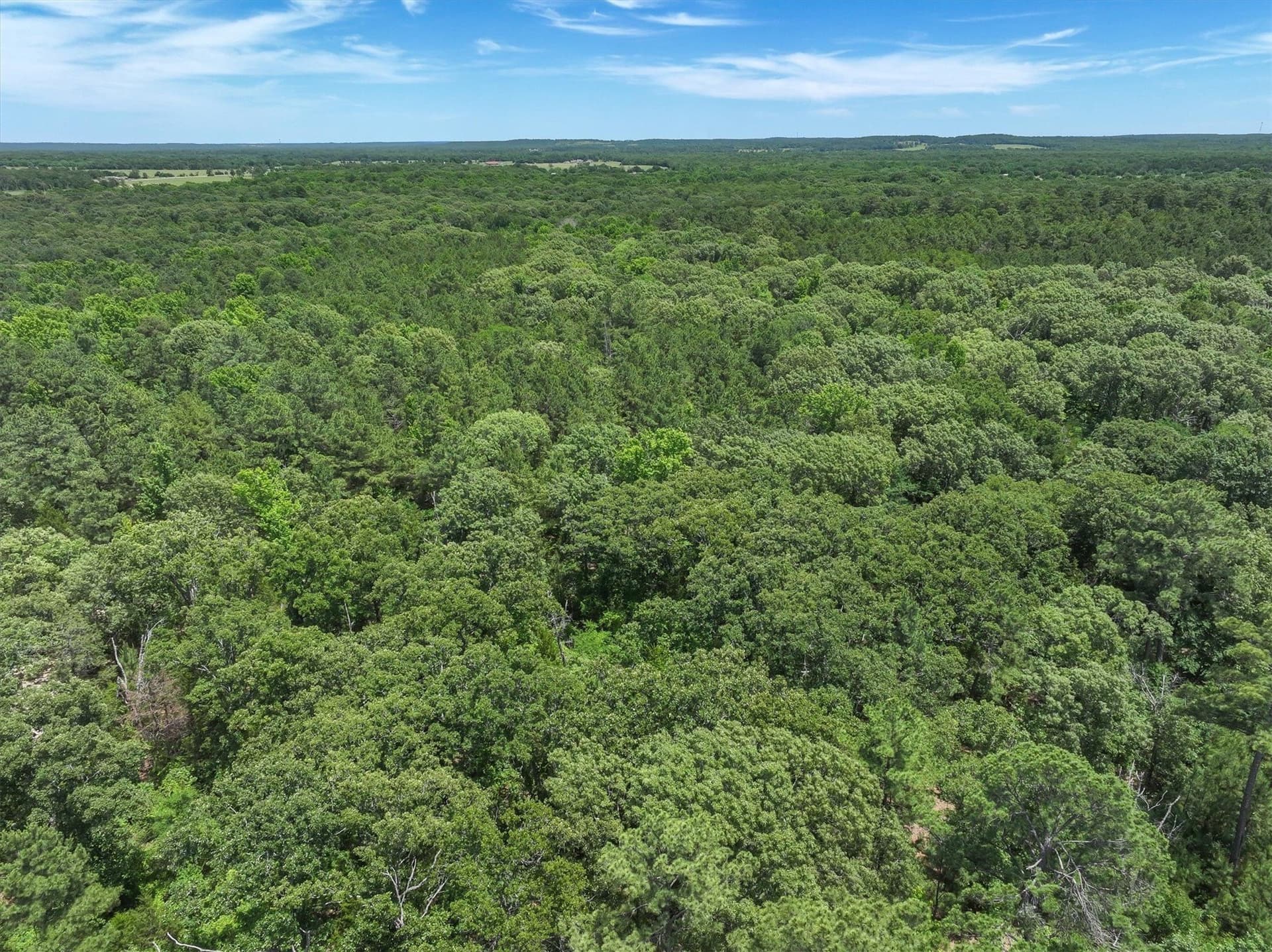 146 acres in Van Zandt County - photo 21