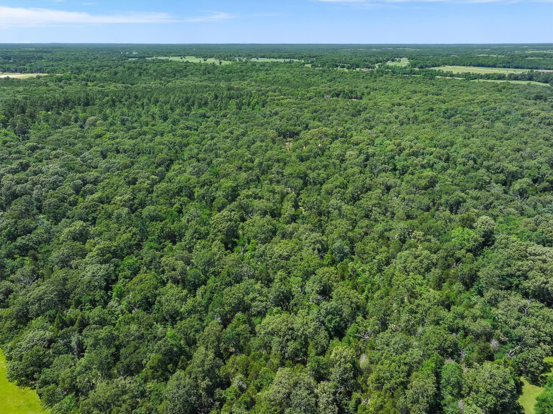 146 acres in Van Zandt County - photo 31