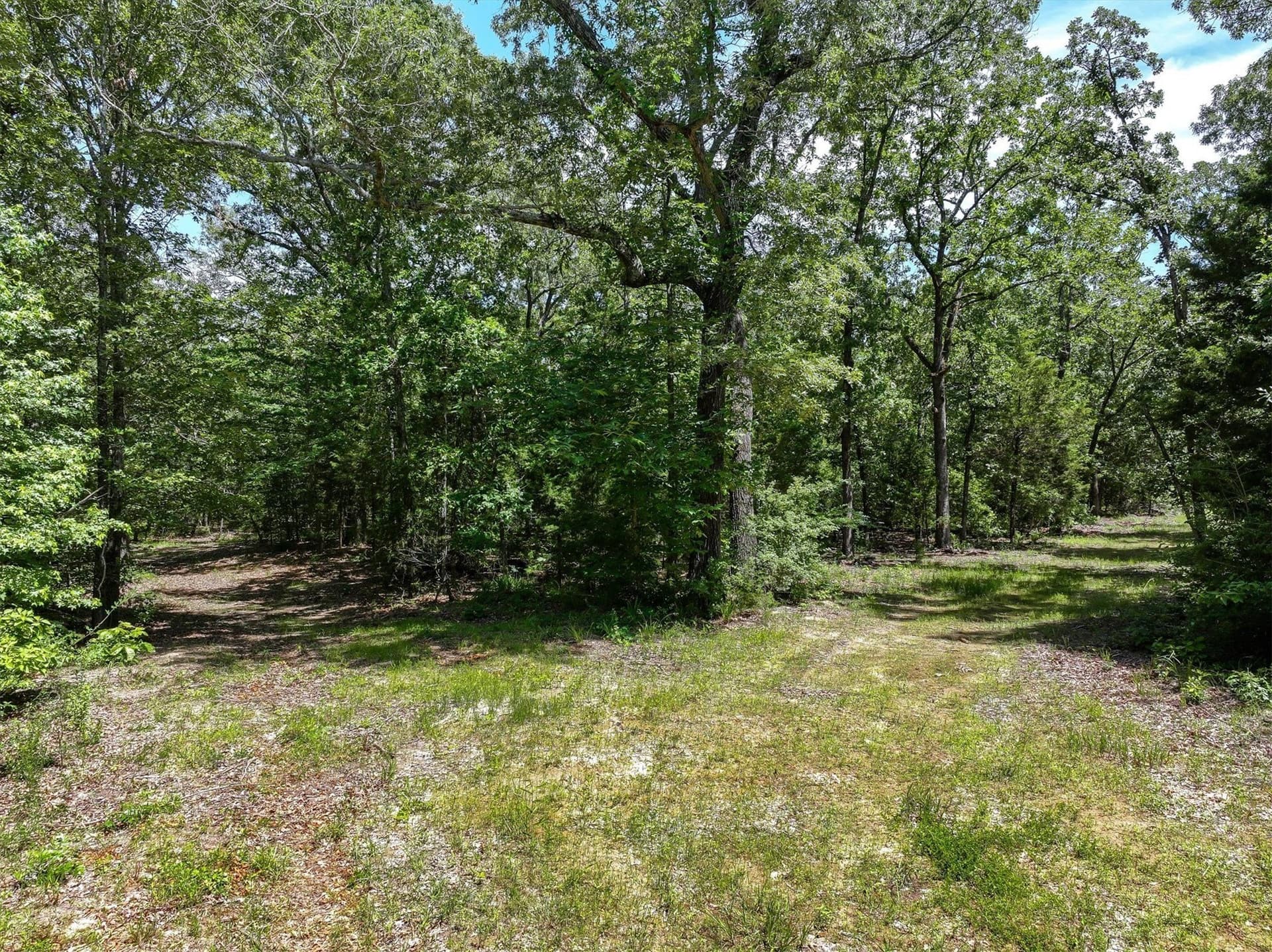 146 acres in Van Zandt County - photo 18