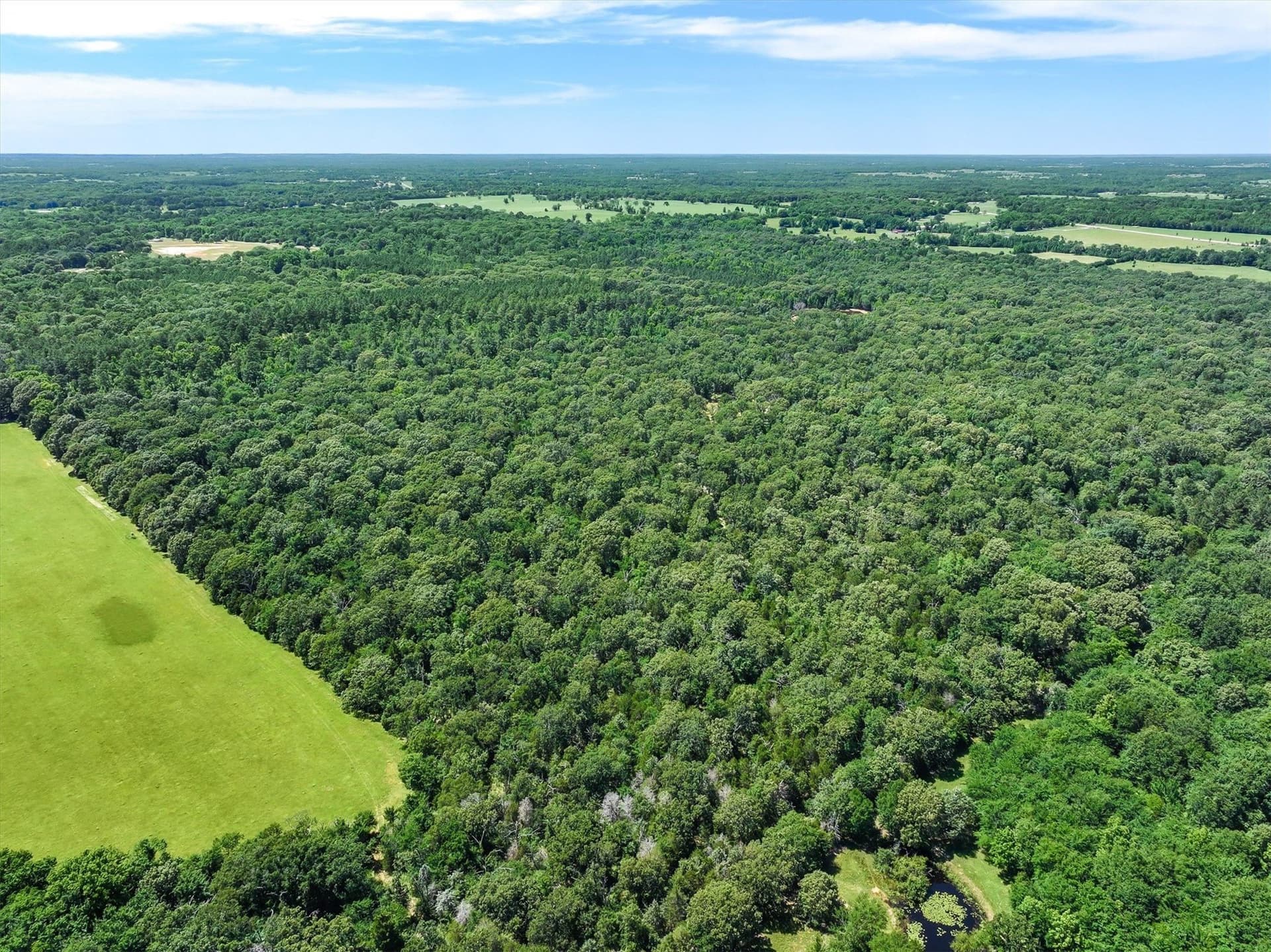 146 acres in Van Zandt County - photo 30