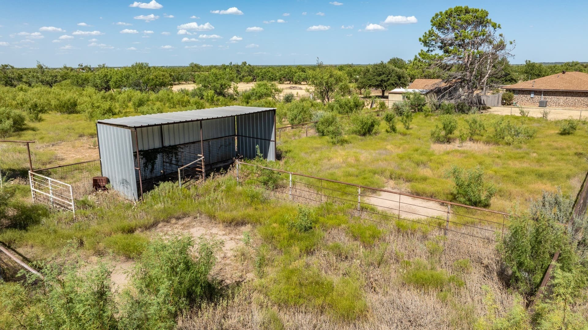 4.9 acres in Taylor County - photo 5