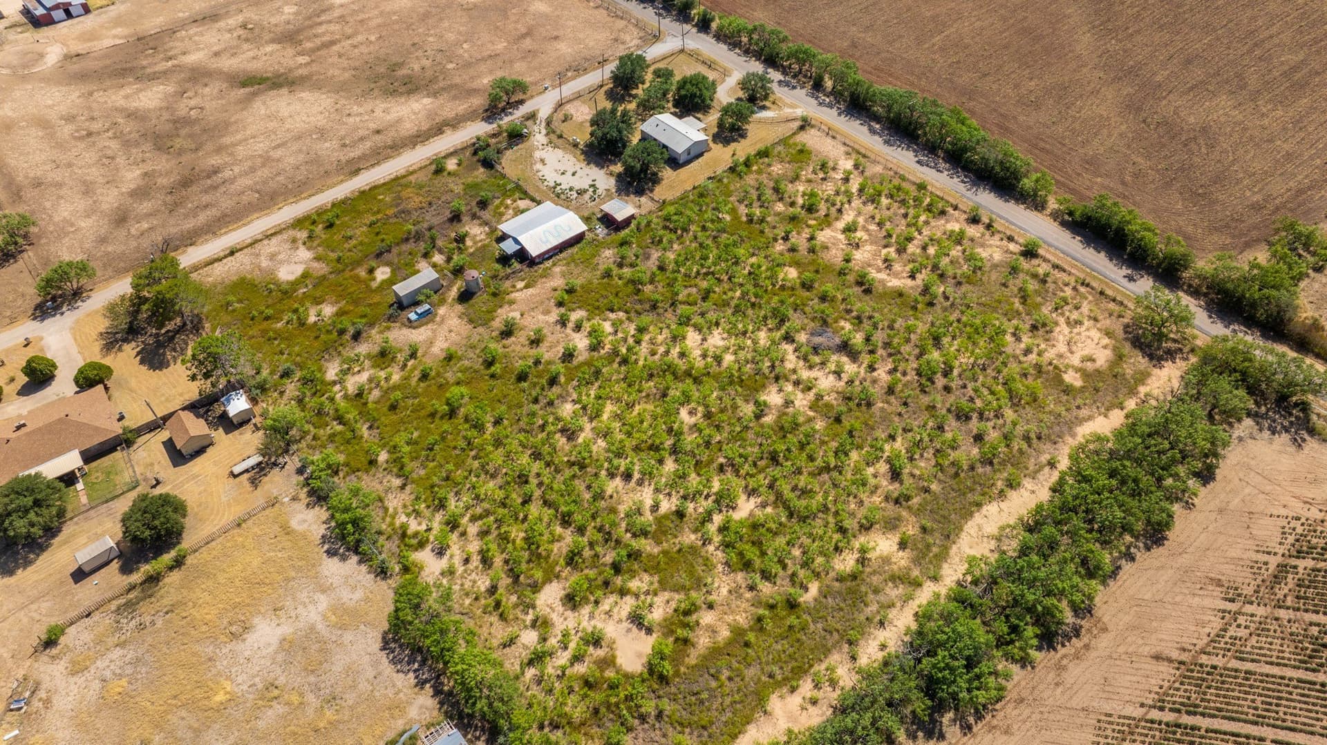 4.9 acres in Taylor County - photo 7