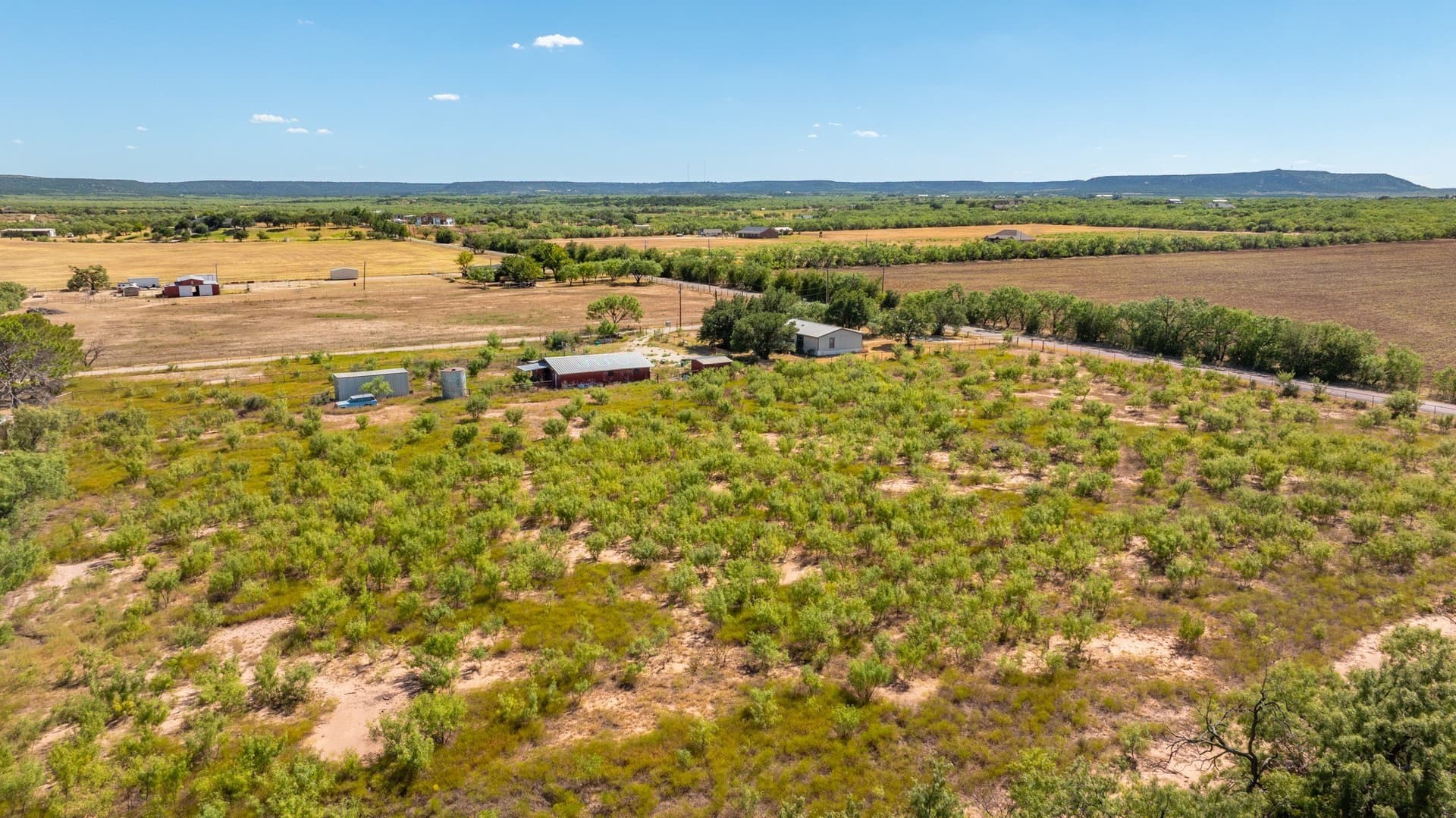 4.9 acres in Taylor County - photo 8