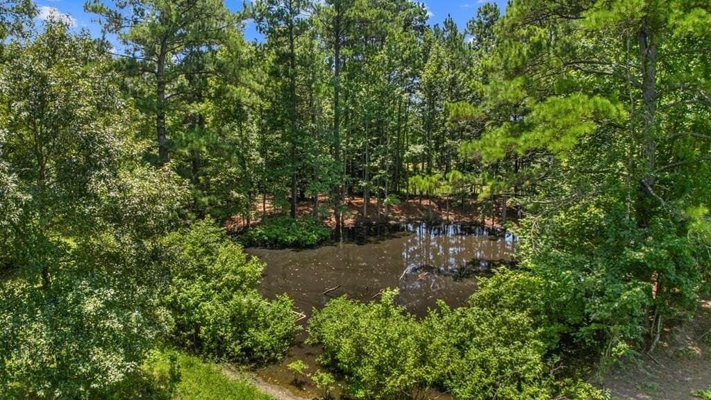 143.38 acres in Texas County - photo 10