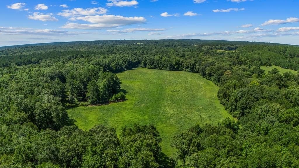 143.38 acres in Texas County - photo 9