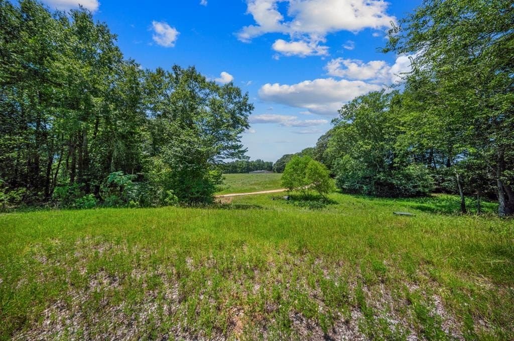 143.38 acres in Texas County - photo 41