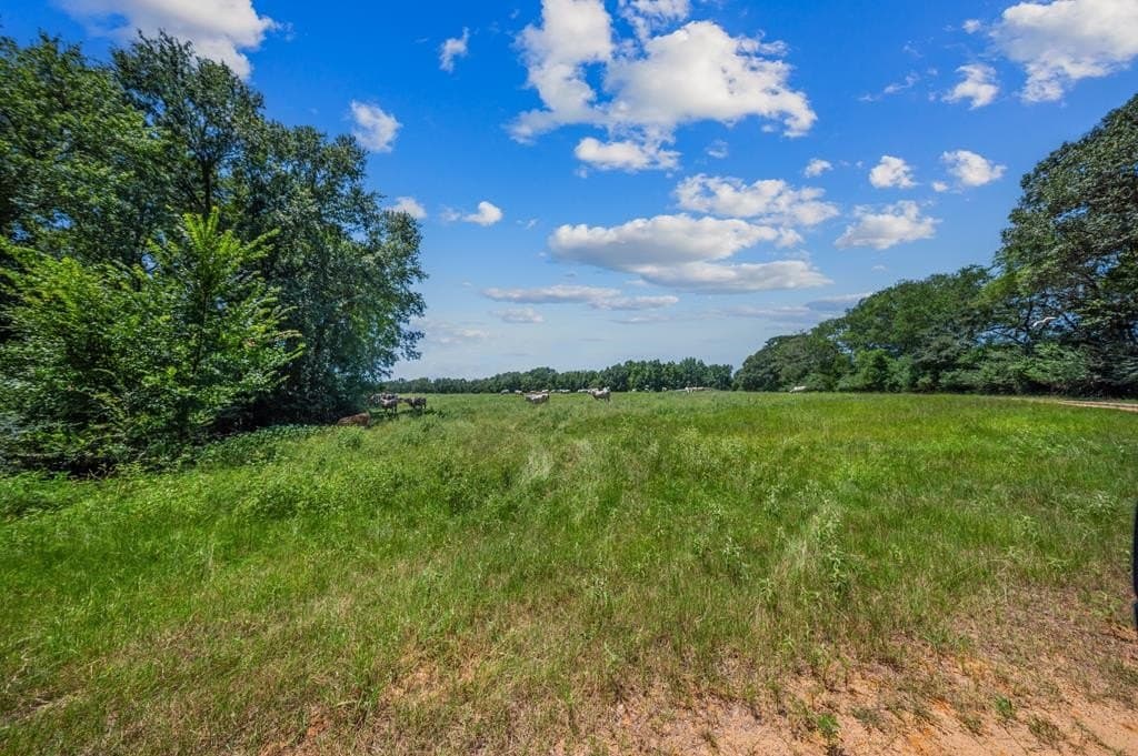 143.38 acres in Texas County - photo 36