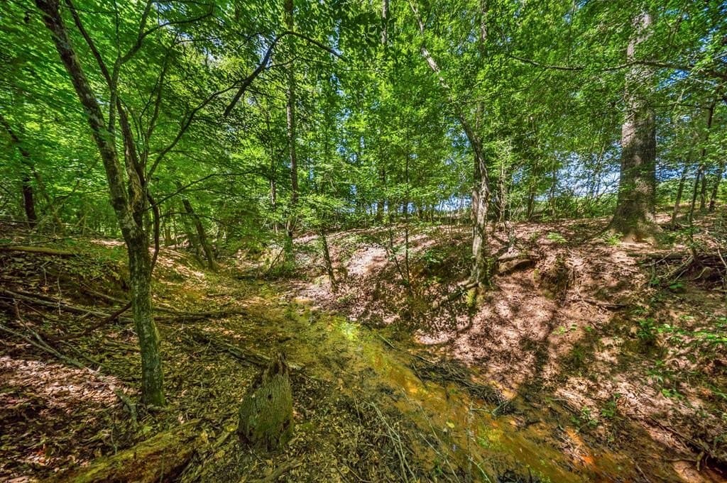 143.38 acres in Texas County - photo 23