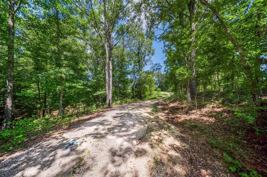 143.38 acres in Texas County - photo 29