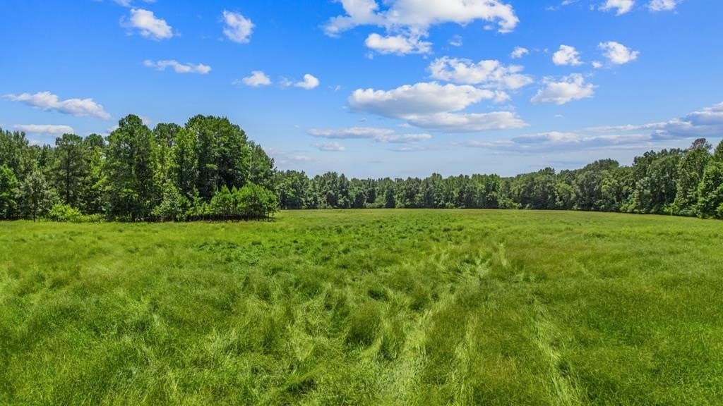 143.38 acres in Texas County - photo 15